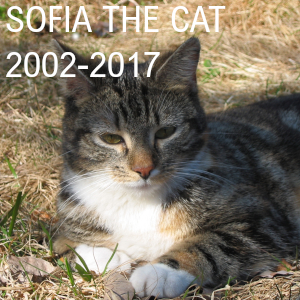 Sofia the Cat