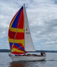 Ligaya Vind&ouml; 45