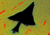 plane