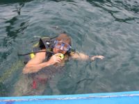 The sea is warm almost the whole year round, and you can enjoy diving without a wet-suit.