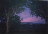 Quezon landscape with purple sky (the photo is old and of low quality, but it somehow reminds me of an Amorsolo painting).