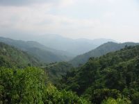 Mountains near Baguio.