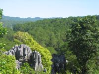 Sagada in the Mountain province.
