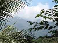 Mount Halcon, Mindoro's tallest mountain, is difficult to spot while travelling south along Mindoro's eastern road.