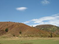 The western road northwards from Sta Cruz was bone dry and sizzling hot. The hills were totally deforested, and the present state of the landscape seemed to offer few opportunities for agriculture.