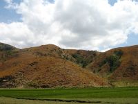 The rice fields indicate the presence of a water at this particular spot.