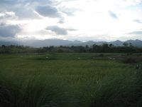 The road from Mamburao to Abra de Ilog was surfaced and in very good condition. Abra de Ilog appeard much greener than the dried out areas south of Mamburao.