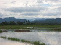 Quiet landscape in northern Cagayan.