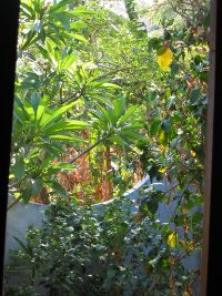 The peaceful view from the bedroom.