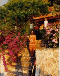 Bougainvilla grew willingly, but always got out of hand and had to be removed due to its nasty thornes.